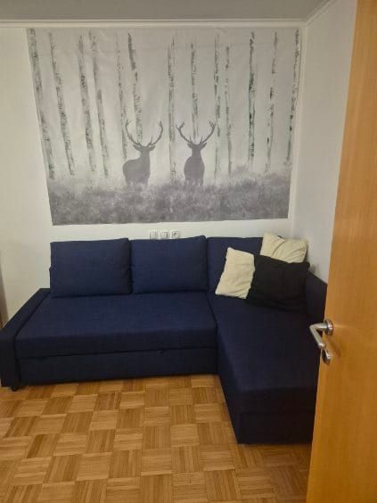 Apartma Roglina – Apartma Roglina (3)