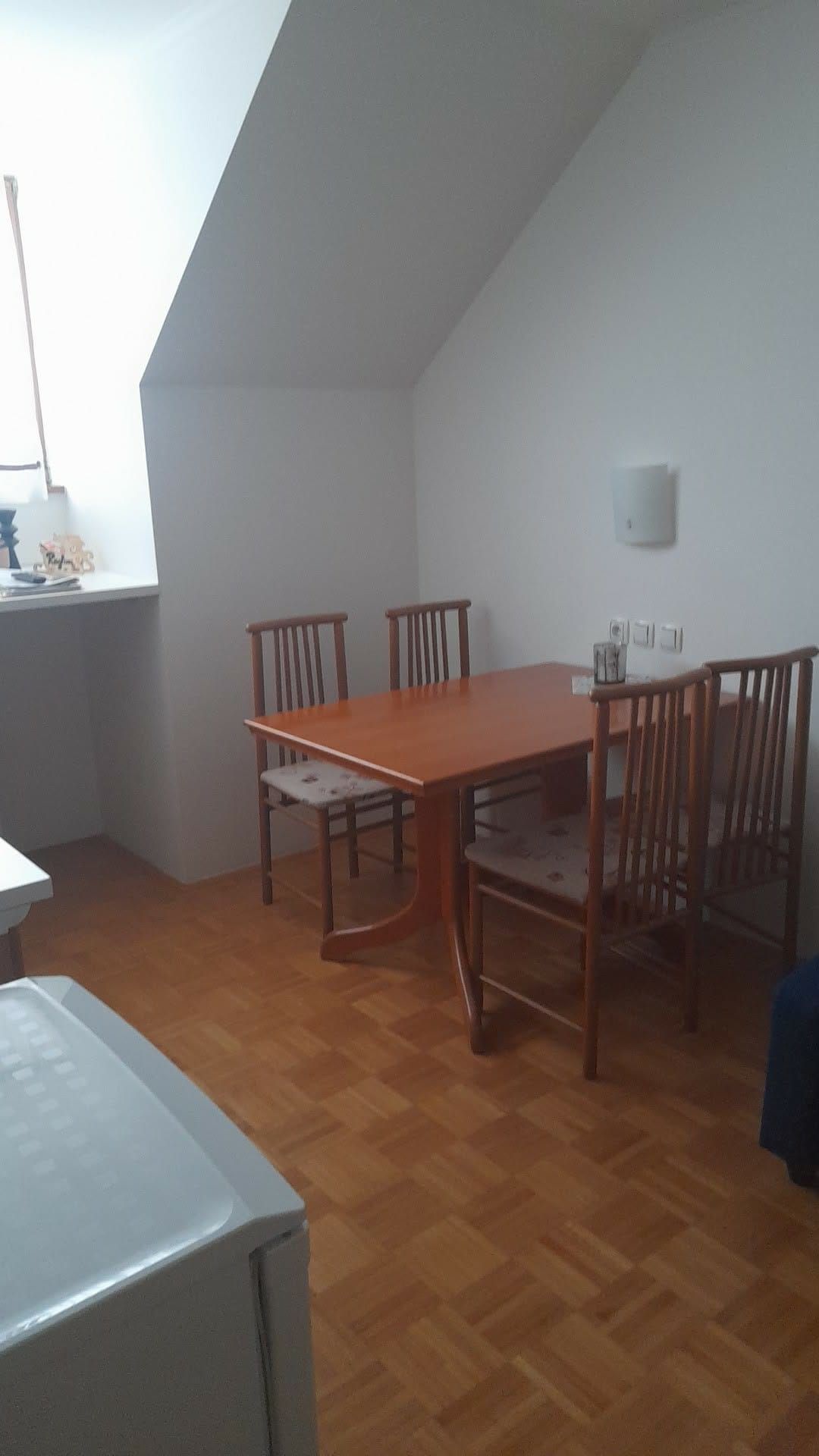 Apartma Roglina – Apartma Roglina (4)