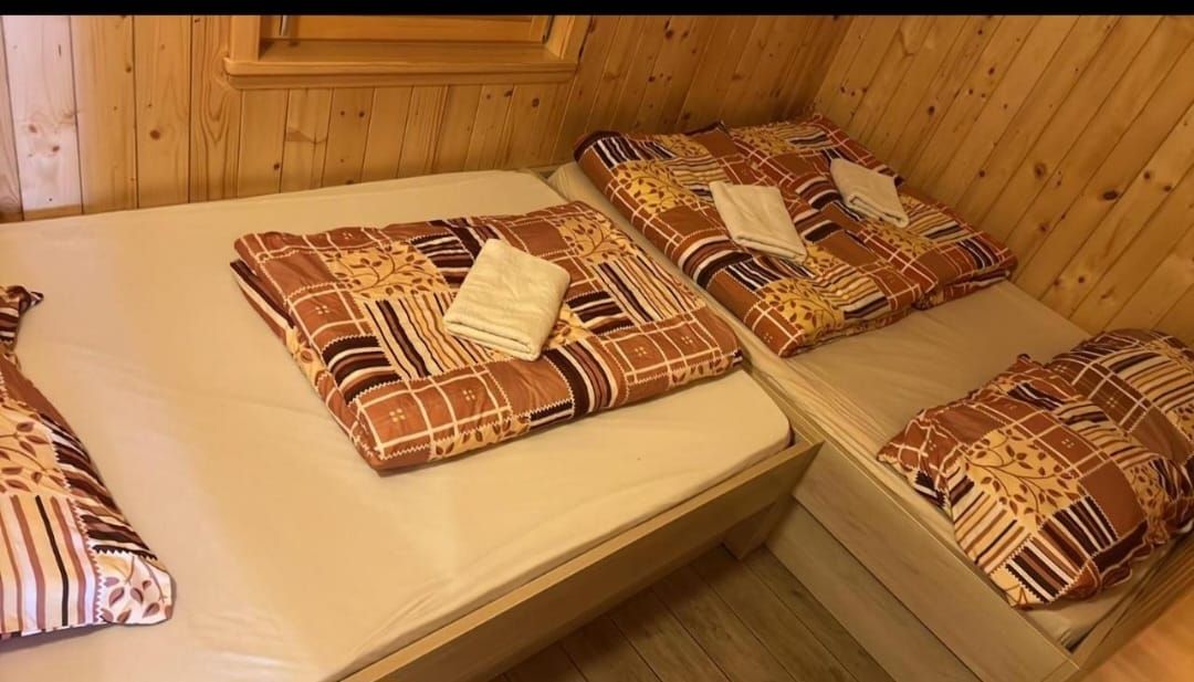 Koča Predilnica – Velika planina (7)