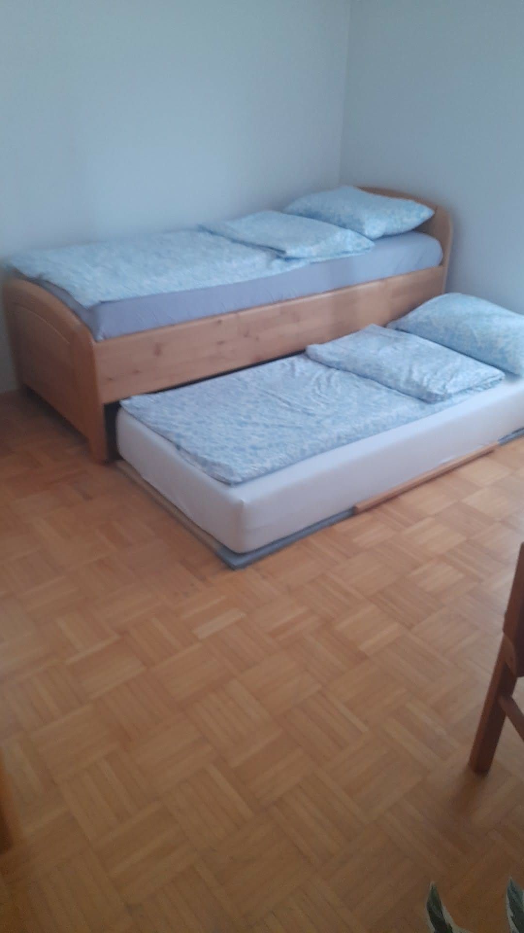 Apartma Roglina – Apartma Roglina (8)